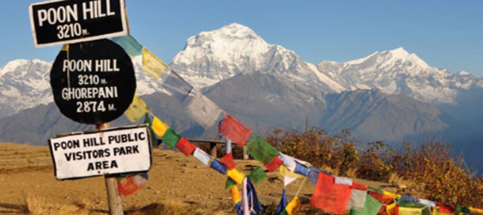 Dhaulagiri I and Tukuche Peak from Poon Hill