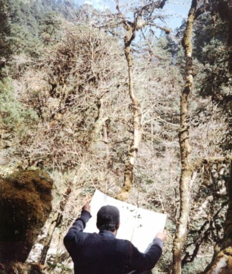 jungle in the Nupenobug Khola Valley