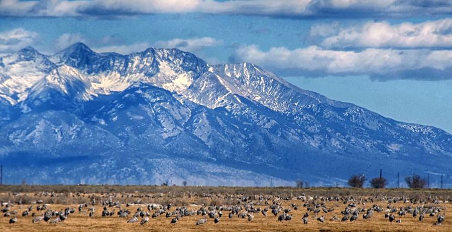 Sangre de Cristo mountains from the Great Sand Dunes Colorado National Monument