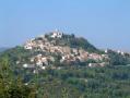 Motovun.jpg