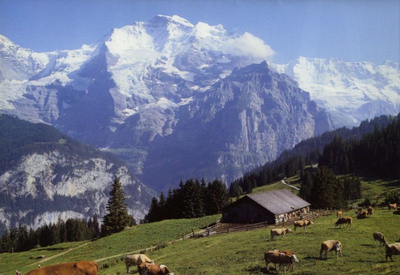 The Jungfrau in the Bernese Oberlands Region of the Swiss Alps