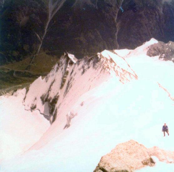 Ascent of East Ridge of Weisshorn ( 4505 metres )