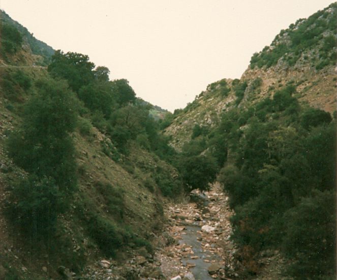 Countryside near Bassae ( Vassae ) on route to Andritsena in the Peloponnese of Greece