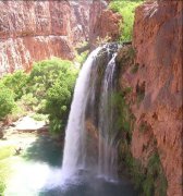 http://www.havasufalls.net