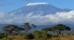 https://www.kili-tanzanitesafaris.com/