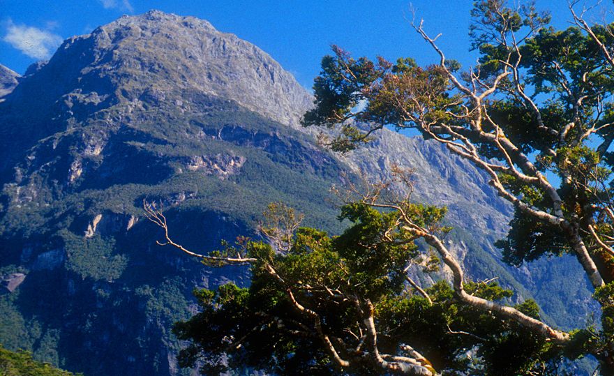 Sheerdown Peak near Milford Track in Fjiordland of the South Island of New Zealand