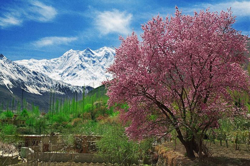 Hunza Valley in the Karakorum Mountains of Pakistan