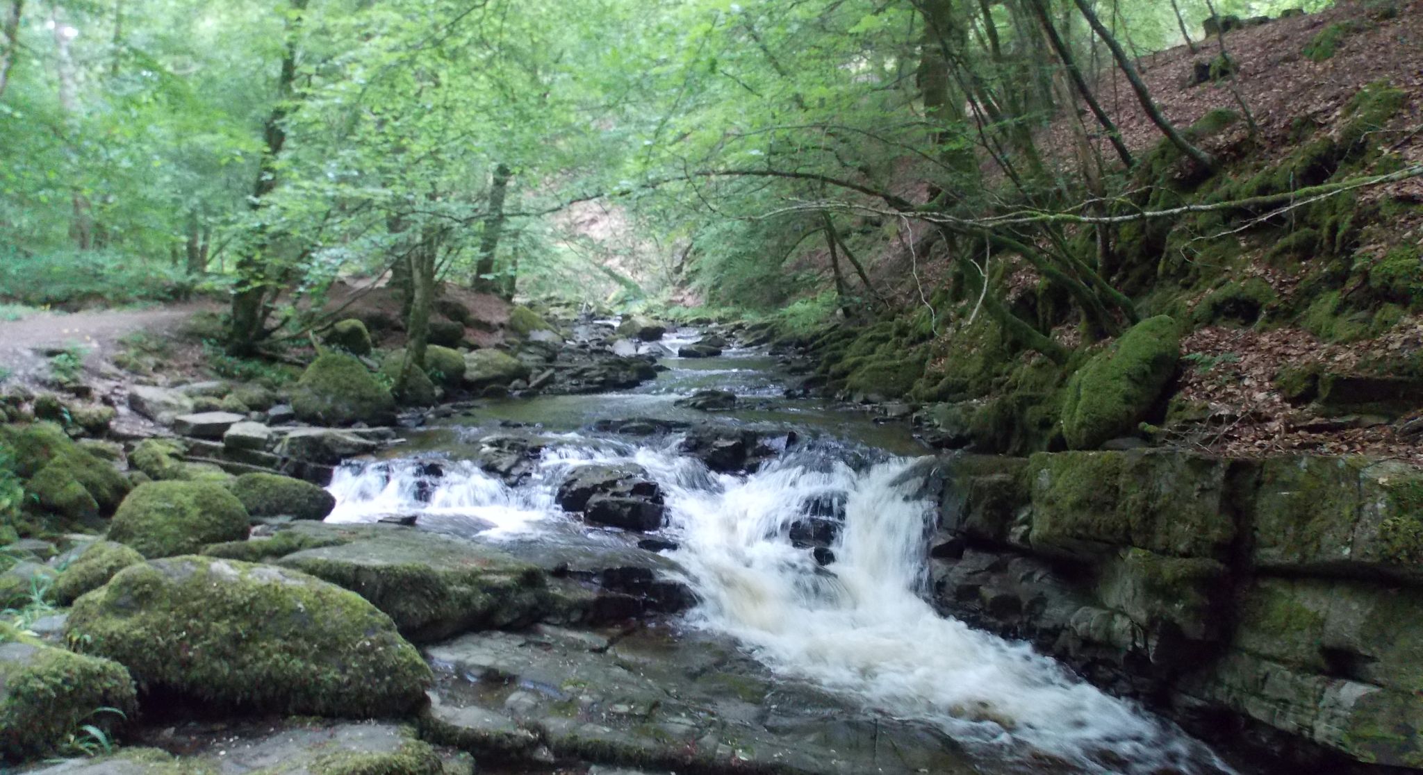 Waterfall on the Moness Burn in the Birks of Aberfeldy