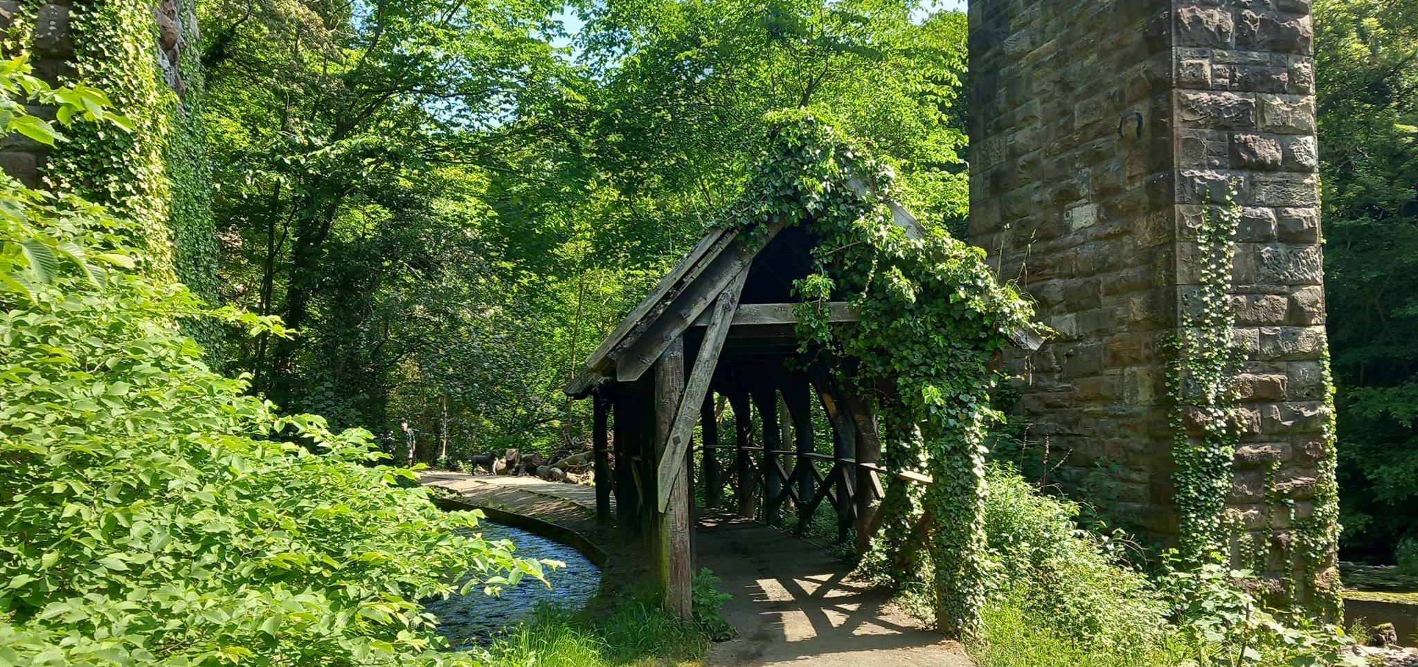 Archway in Almondell Country Park