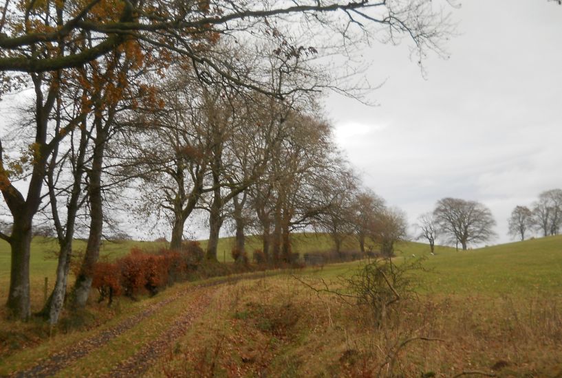 Public footpath from Wester Camoquhill