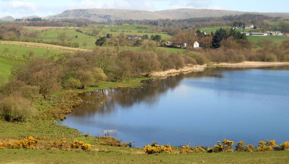 Campsie Fells above Bardowie Loch