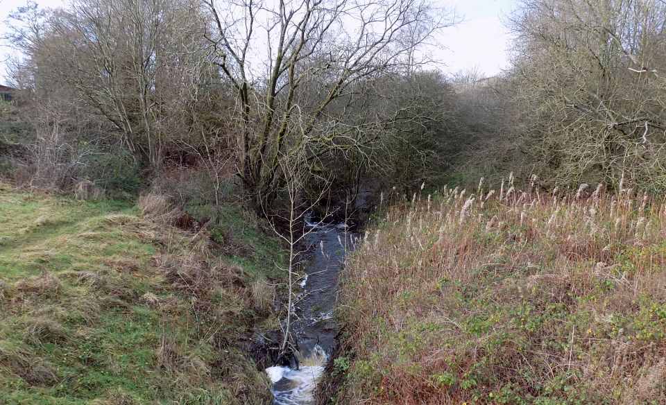 Manse Burn at the site of the "Bearsden Shark" in Baljaffray