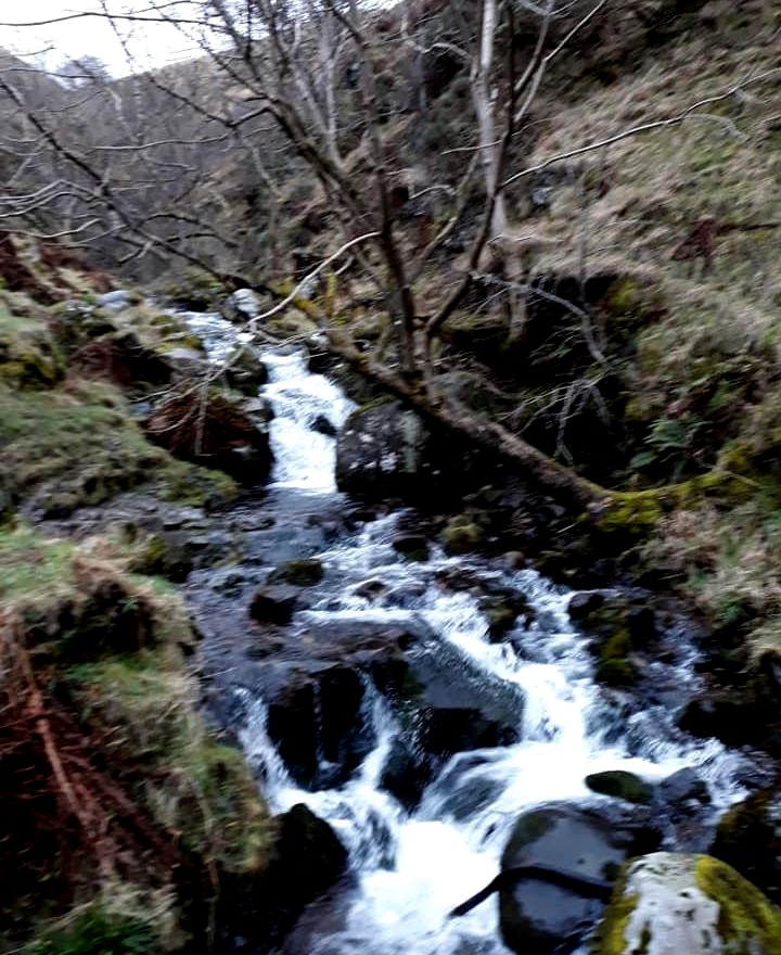 Mill Glen on descent to Tillicoultry from Ben Cleuch