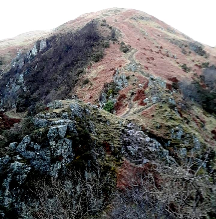 On descent to Tillicoultry from Ben Cleuch