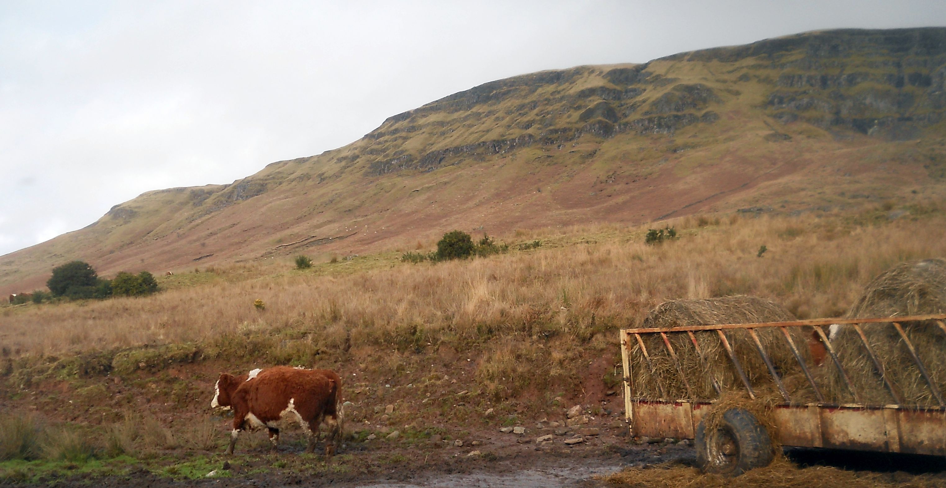 The escarpment of the Campsie Fells