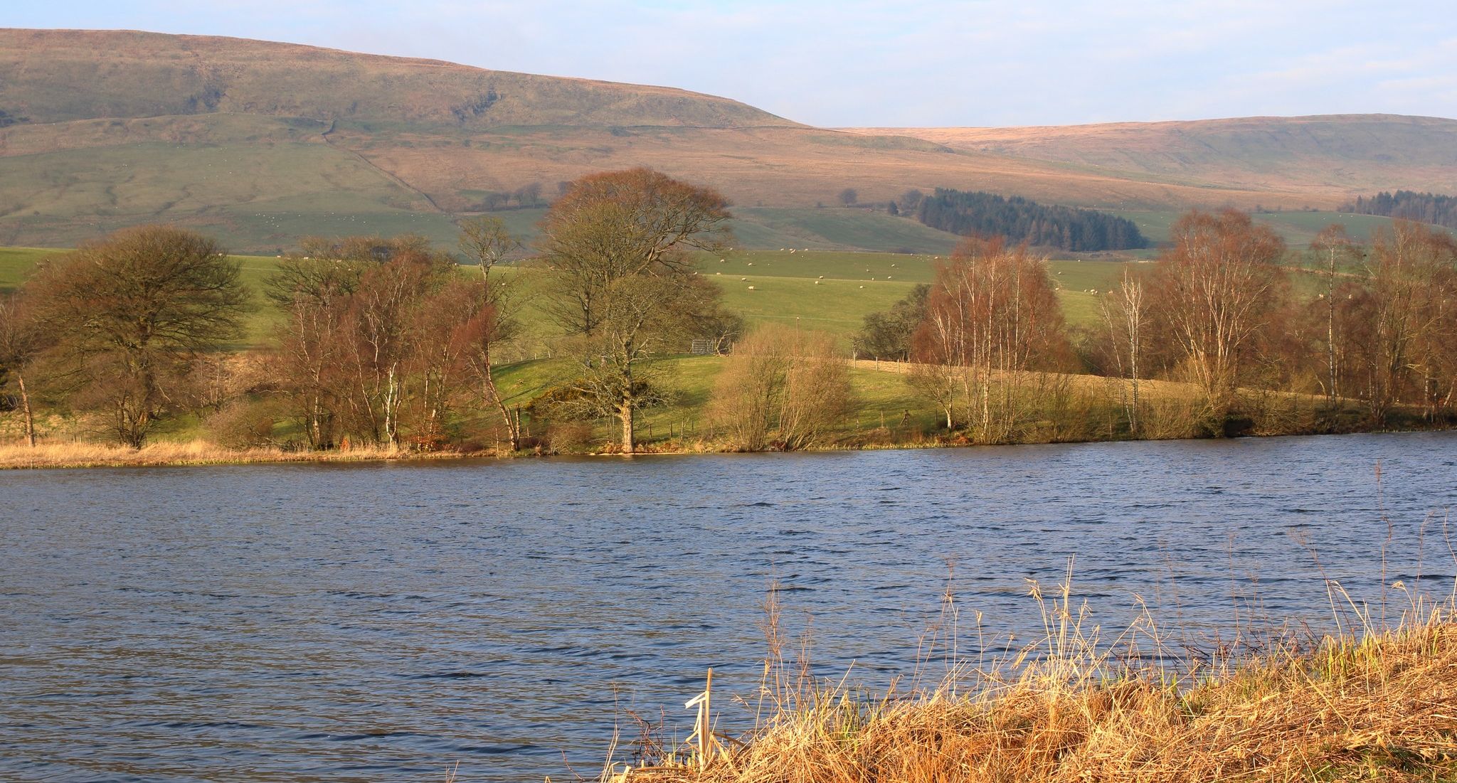 Campsie Fells above Antermony Loch