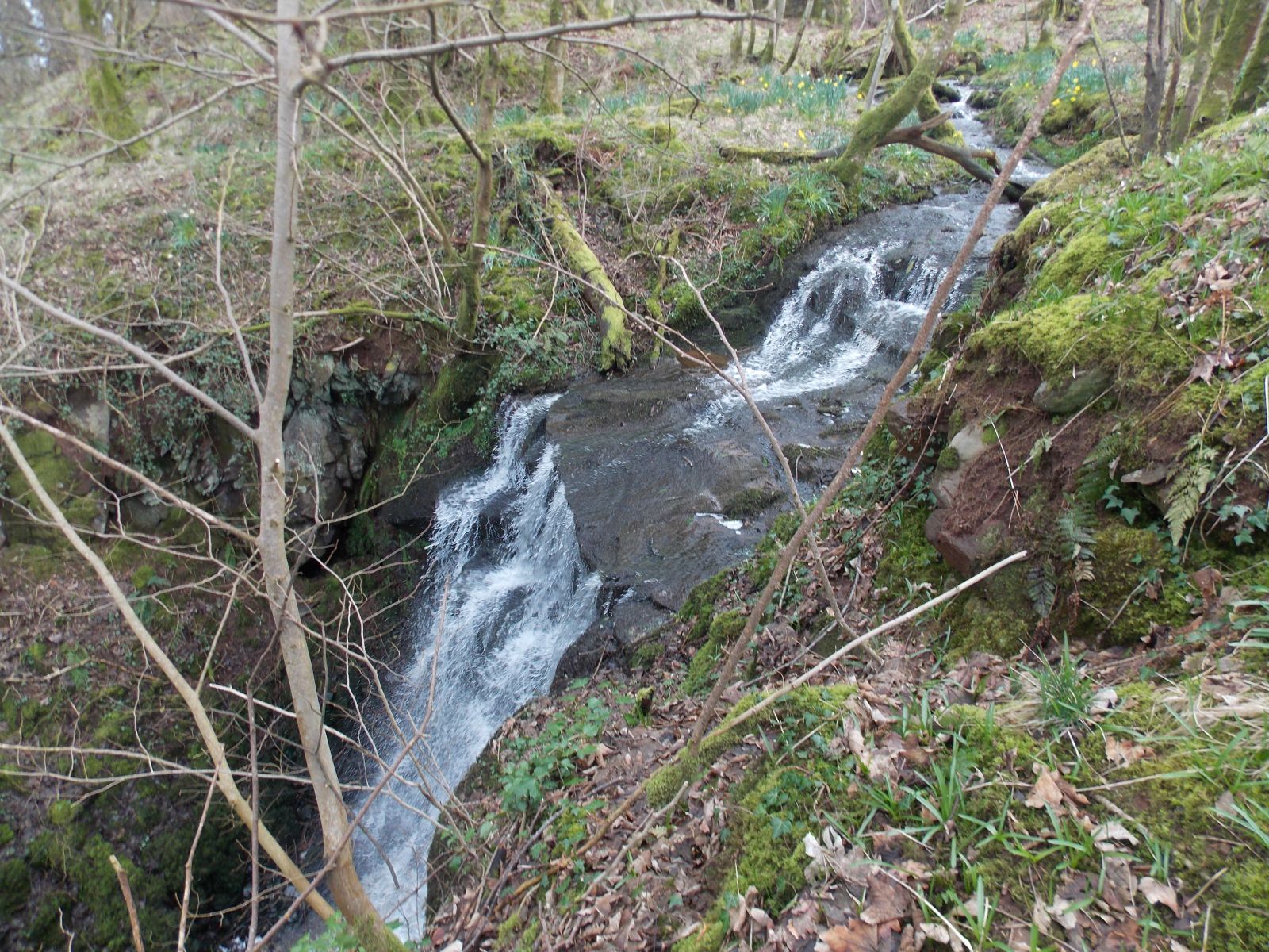 Waterfalls on burn through Glen Wood in Carbeth Estate