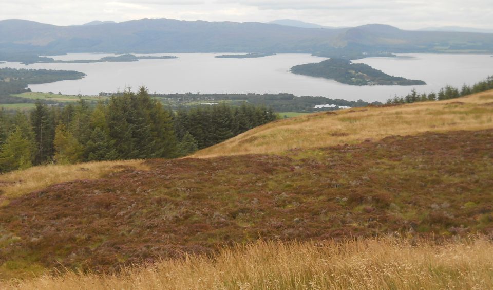 Loch Lomond from Ben Bowie