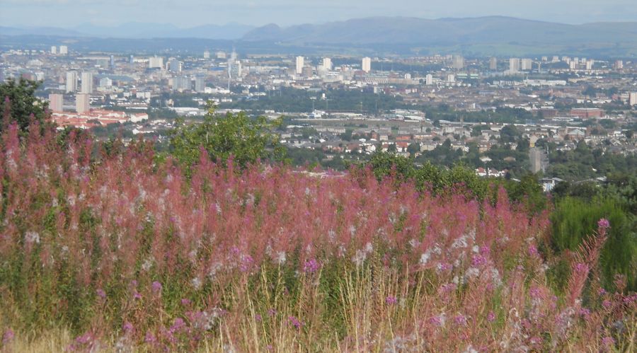 Dumgoyne and the Campsie Fells beyond Glasgow from Cathkin Braes Country Park