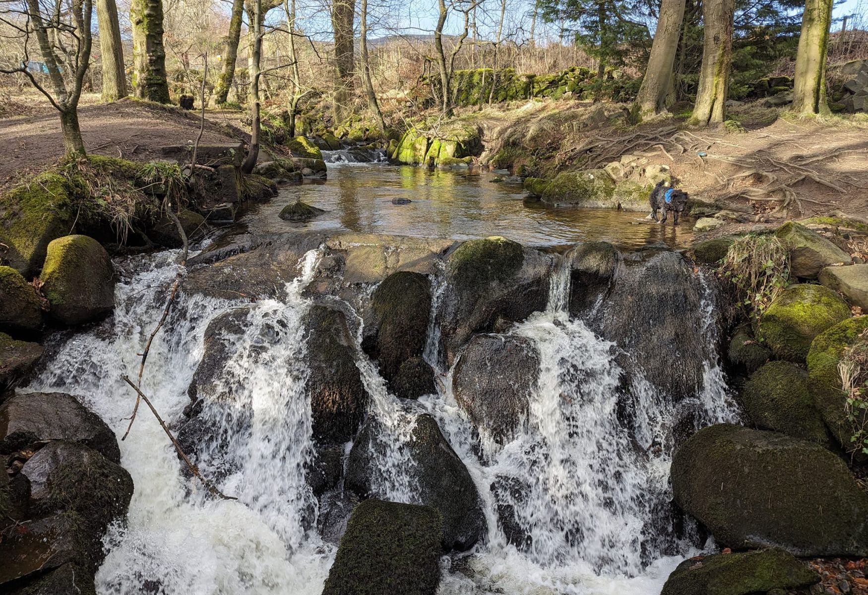 Waterfalls in the Glen