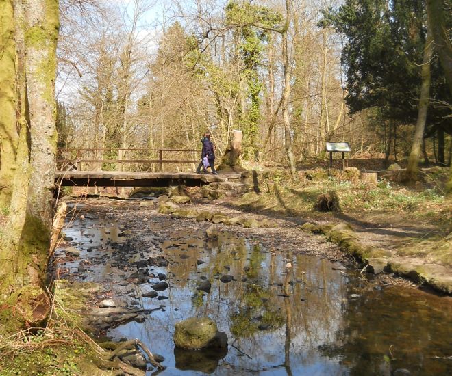 Stream in Finlaystone Country Park