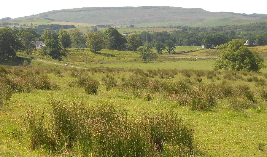 The Kilpatrick Hills from the West Highland Way.