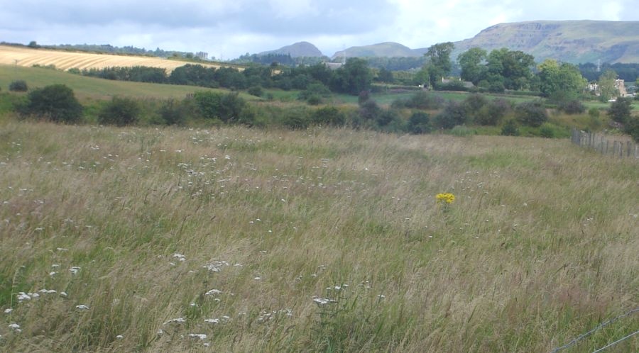 Dumgoyne and Campsie Fells from the Allander River Walkway