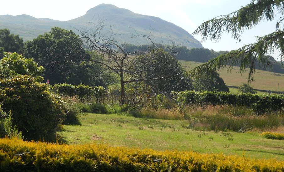 Dumgoyne in the Campsie Fells from track to Gartness