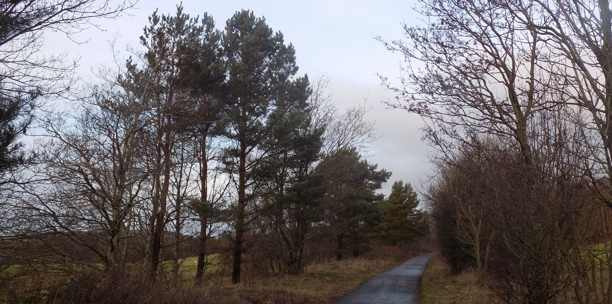 Gryffe River Valley cycle track