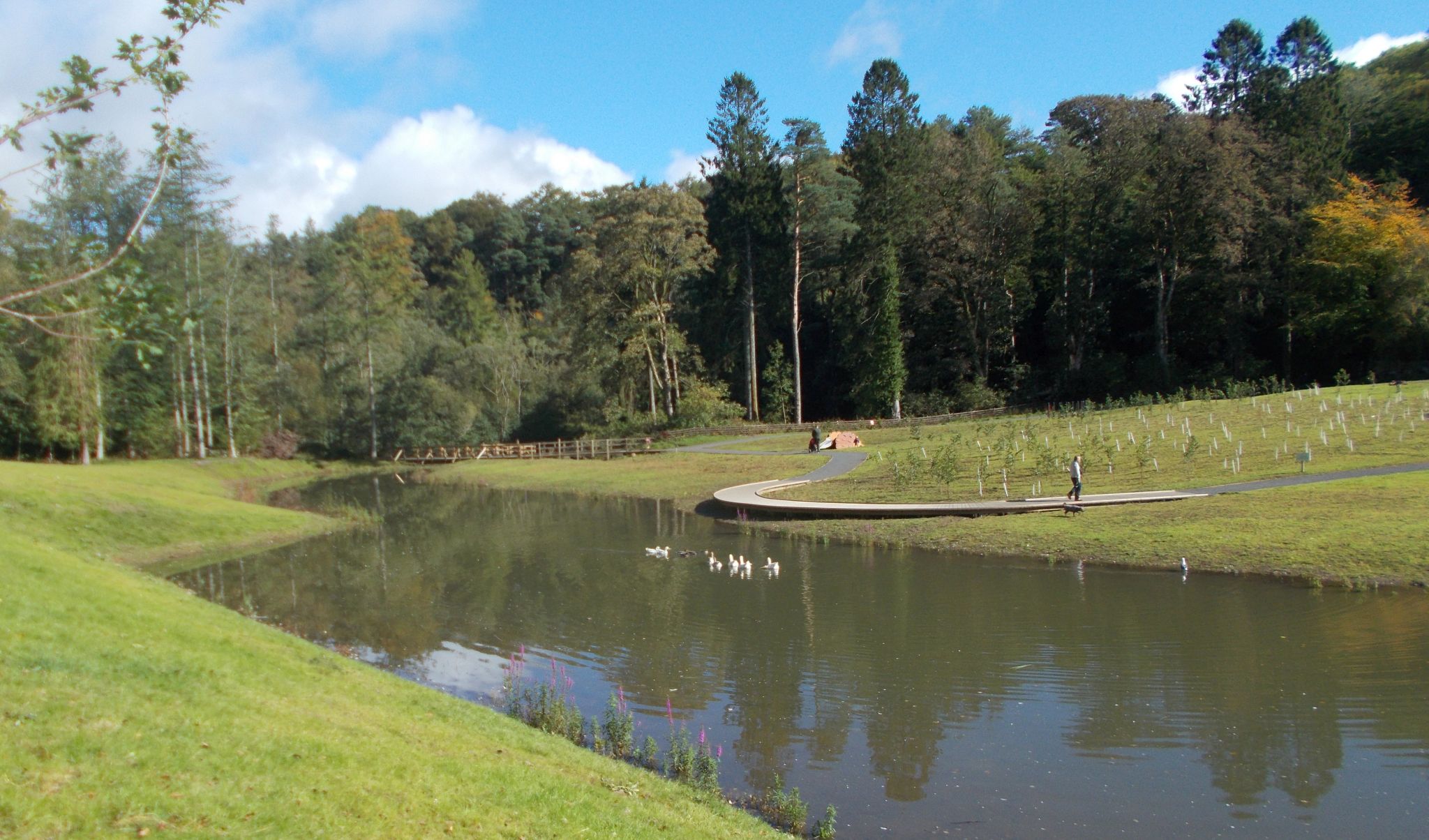 Duck Pond in Dean Castle Country Park