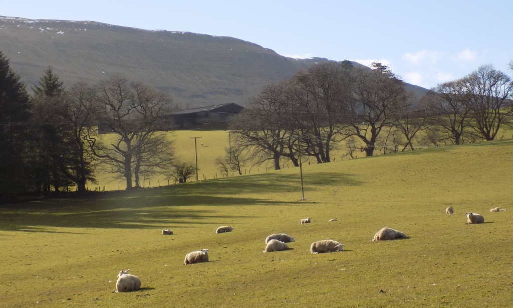 Gargunnock Hills