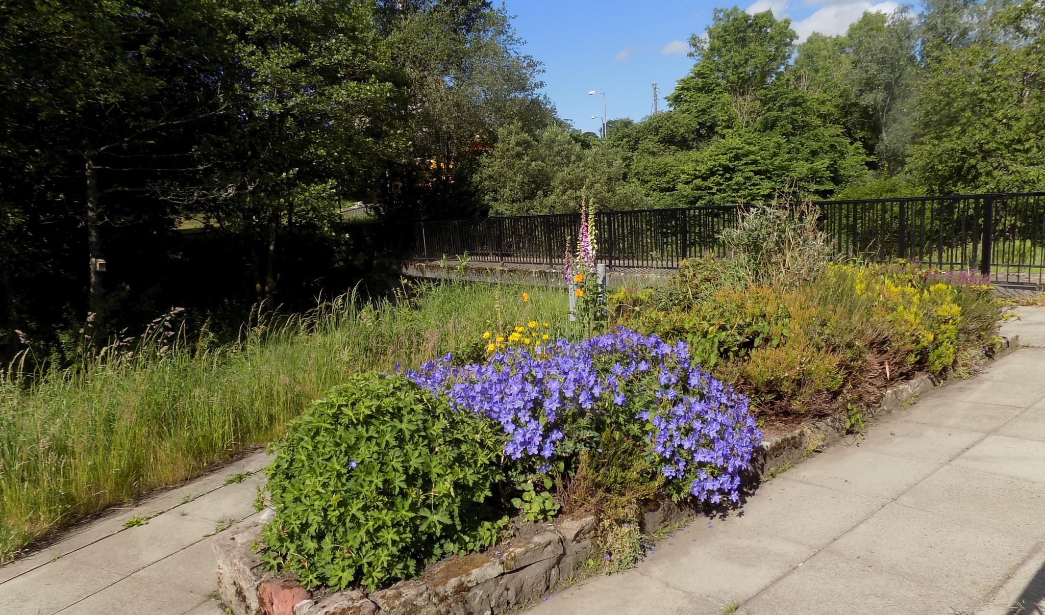 Walkway alongside the Luggie Water at Kirkintilloch