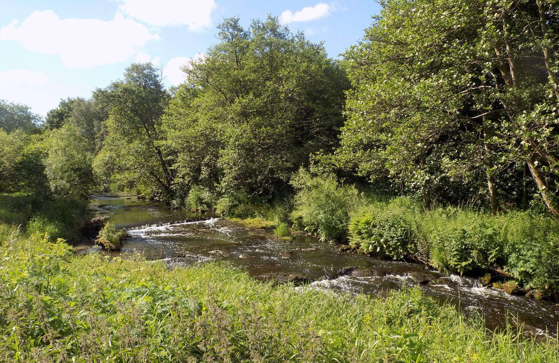 The Luggie Water at Kirkintilloch