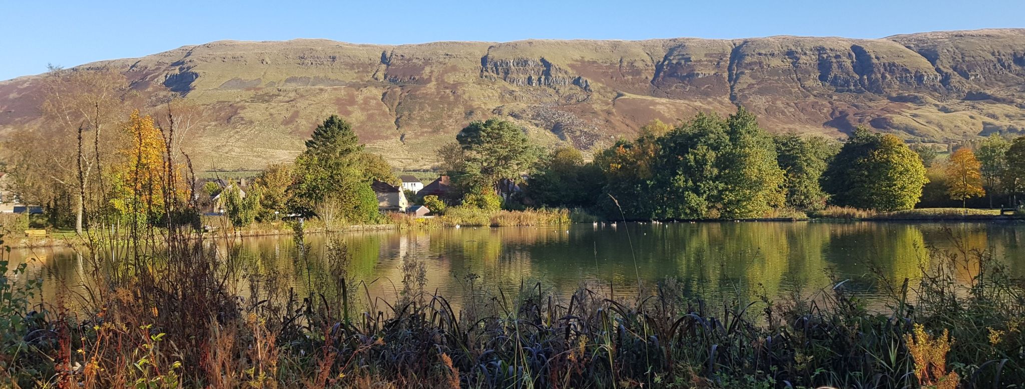 Whitefield Pond in Lennoxtown