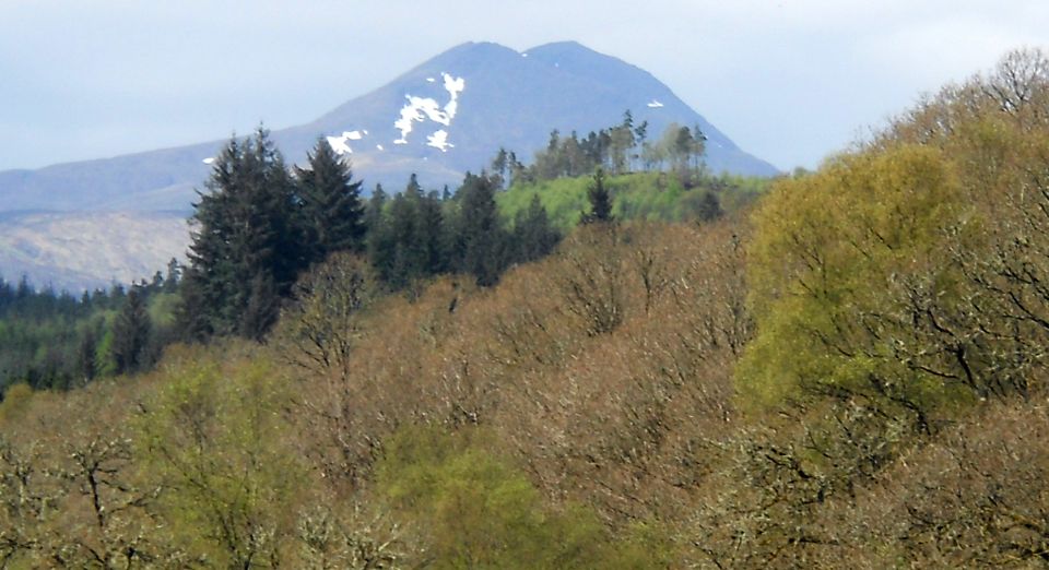 Ben Lomond from Loch Ard Forest