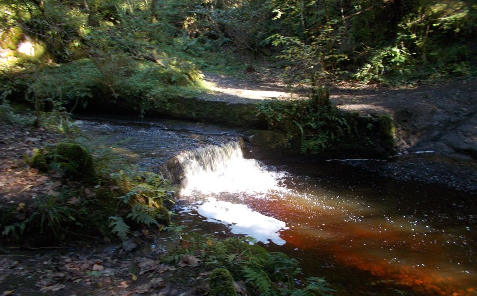 Waterfall on Overtoun Burn