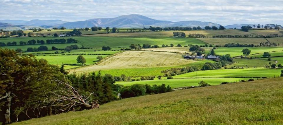 Tinto Hill