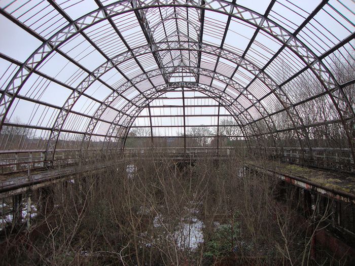 The derelict Winter Gardens in Springburn Park