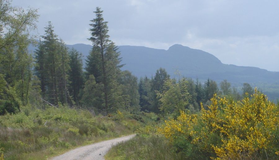 Trail on route to Drymen looking back to Dumgoyne and the Campsie Fells