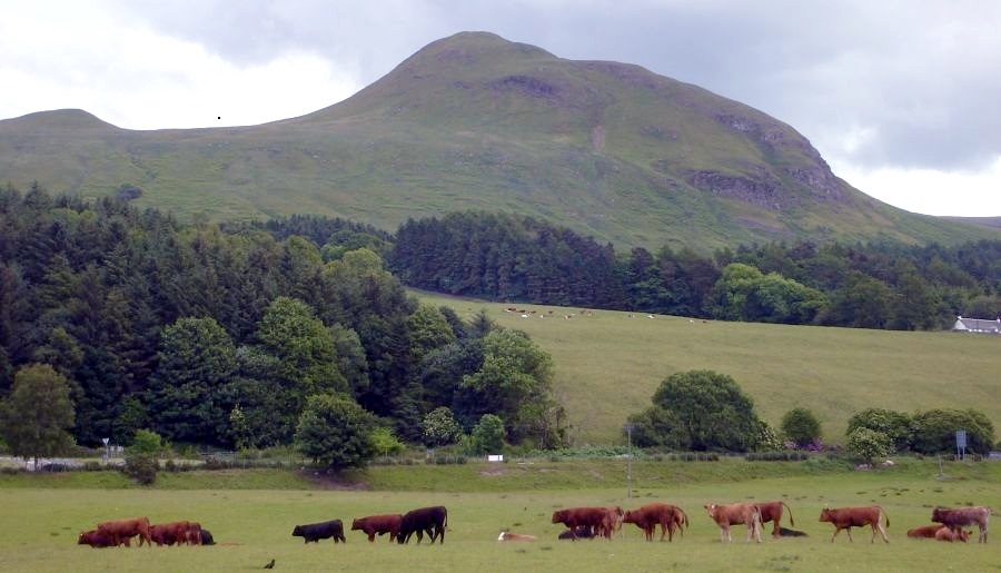 Dumgoyne