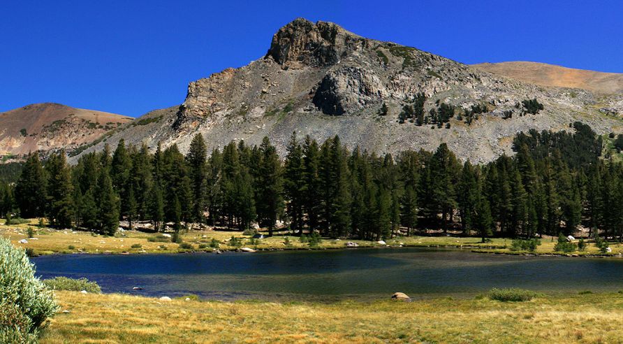 Mount Dana in the Sierra Nevada